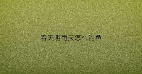 春天阴雨天怎么钓鱼(春天阴雨天怎么钓鱼呢)