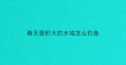 春天面积大的水域怎么钓鱼(春天钓大水面还是小水面)