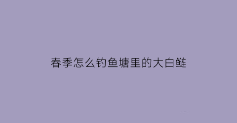春季怎么钓鱼塘里的大白鲢(春季怎么钓鱼塘里的大白鲢呢)