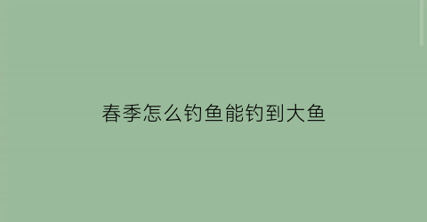 “春季怎么钓鱼能钓到大鱼(春季怎么野钓)