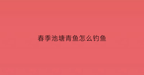 春季池塘青鱼怎么钓鱼(野塘钓青鱼)