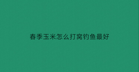 春季玉米怎么打窝钓鱼最好(春季玉米钓鱼技巧)
