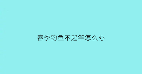 春季钓鱼不起竿怎么办(春季钓鱼没口)
