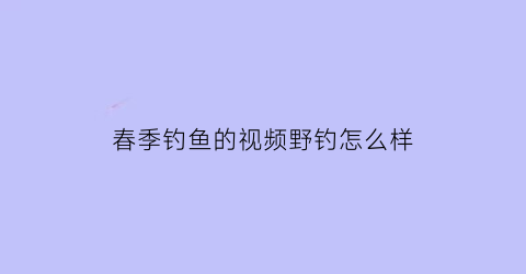 春季钓鱼的视频野钓怎么样