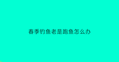 春季钓鱼老是跑鱼怎么办(钓鱼老跑鱼是什么原因)
