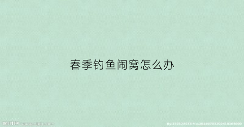 春季钓鱼闹窝怎么办(春天钓鱼打窝)