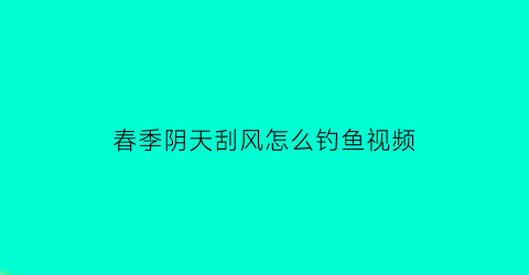 “春季阴天刮风怎么钓鱼视频(春天阴天刮风钓鱼)