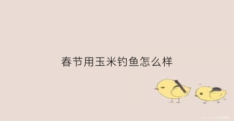 春节用玉米钓鱼怎么样(玉米钓鱼效果怎么样什么季节好)