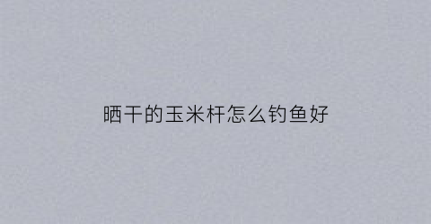 晒干的玉米杆怎么钓鱼好(晒干的玉米打窝直接钓可以吗)