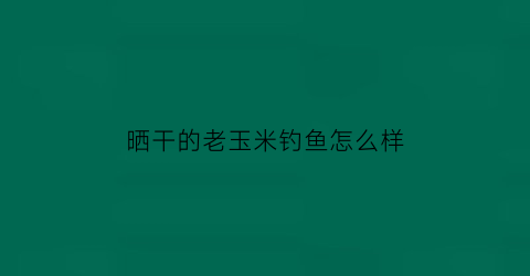 “晒干的老玉米钓鱼怎么样(晒干的老玉米钓鱼怎么样好吃)