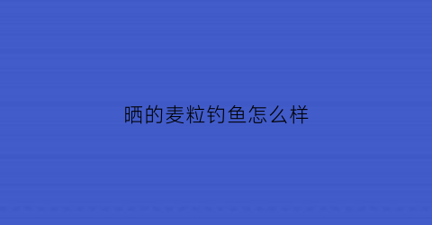 “晒的麦粒钓鱼怎么样(晒的麦粒钓鱼怎么样才能钓到)