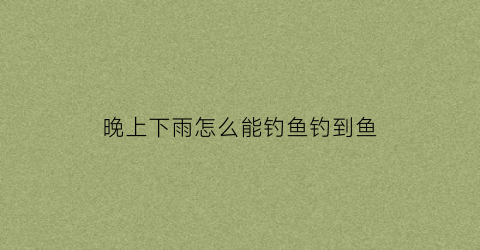 晚上下雨怎么能钓鱼钓到鱼(晚上下雨钓鱼好钓鱼吗)
