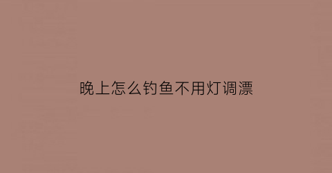 “晚上怎么钓鱼不用灯调漂(晚上钓鱼不用夜光漂怎么钓)