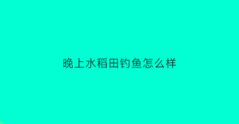 “晚上水稻田钓鱼怎么样(稻田里钓鱼)