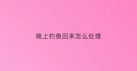 晚上钓鱼回来怎么处理(晚上钓鱼鱼获)