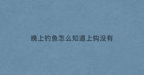 “晚上钓鱼怎么知道上钩没有(钓鱼怎么看上没上钩)