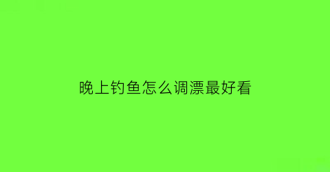 晚上钓鱼怎么调漂最好看(晚上钓鱼技巧)