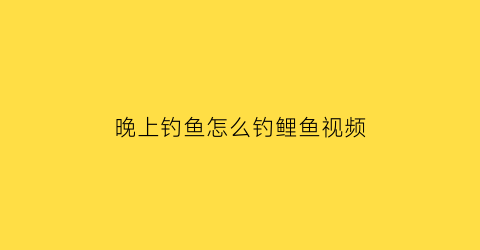 晚上钓鱼怎么钓鲤鱼视频