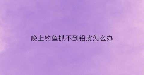 晚上钓鱼抓不到铅皮怎么办(晚上钓鱼不上钩)