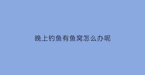 晚上钓鱼有鱼窝怎么办呢(晚上钓鱼有鱼窝怎么办呢图片)