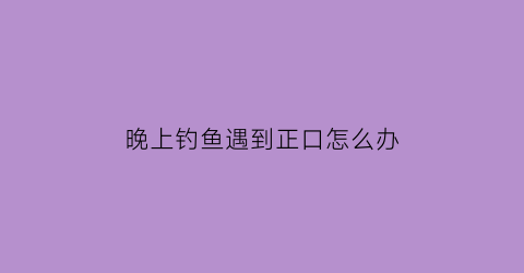 晚上钓鱼遇到正口怎么办