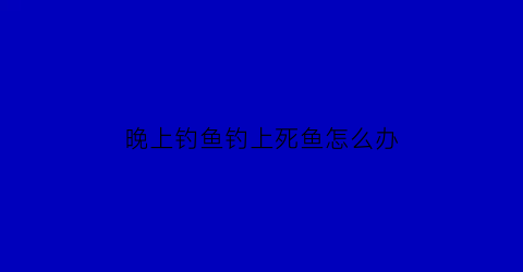 晚上钓鱼钓上死鱼怎么办(昨天晚上钓的鱼死了第二天能吃吗)