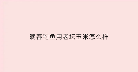 “晚春钓鱼用老坛玉米怎么样(老坛玉米能做钓饵吗)