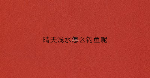 晴天浅水怎么钓鱼呢(晴天如何钓鱼)