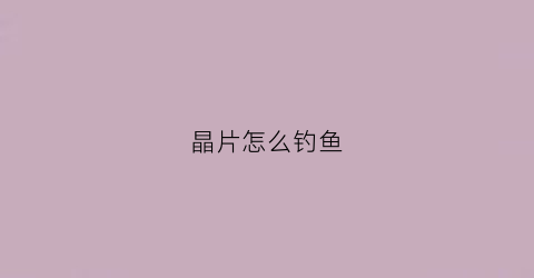 晶片怎么钓鱼