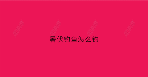 暑伏钓鱼怎么钓