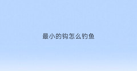 最小的钩怎么钓鱼(最小的鱼钩能钓多大的鱼)
