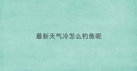 最新天气冷怎么钓鱼呢(天气冷了怎么钓鱼)