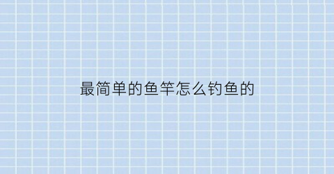 最简单的鱼竿怎么钓鱼的(简易的钓鱼竿)