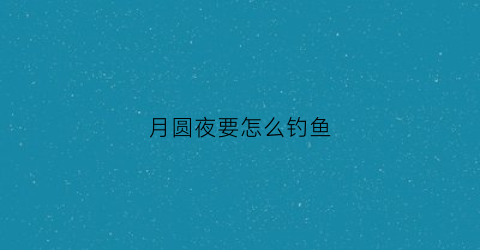 月圆夜要怎么钓鱼