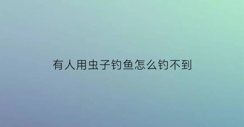 有人用虫子钓鱼怎么钓不到(钓鱼鱼饵虫子)