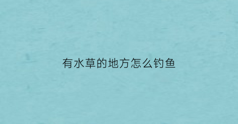 “有水草的地方怎么钓鱼(有水草的地方怎么捕鱼)