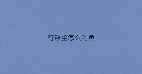 有浮尘怎么钓鱼(浮尘怎么清理)