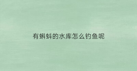 有蝌蚪的水库怎么钓鱼呢(钓蝌蚪的鱼钩)