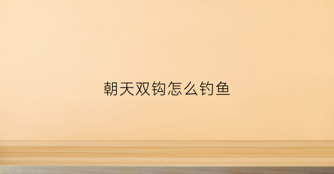 朝天双钩怎么钓鱼(朝天钩双钩钓组)