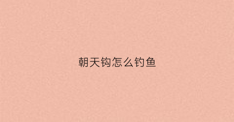 朝天钩怎么钓鱼(朝天钩钓鱼视频高清)