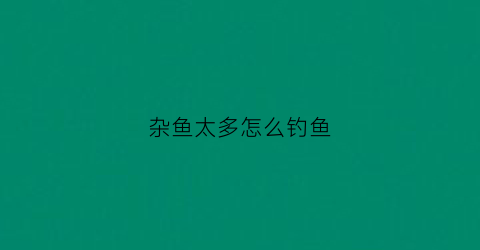 杂鱼太多怎么钓鱼(杂鱼太多怎么钓鱼呢)