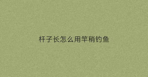 杆子长怎么用竿稍钓鱼(竿稍太短怎么办)
