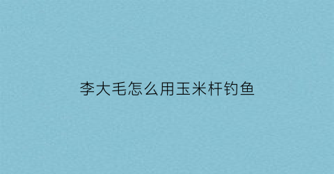 李大毛怎么用玉米杆钓鱼(李大毛用玉米钓鱼视频)