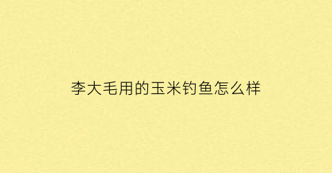 李大毛用的玉米钓鱼怎么样(李大毛钓玉米调漂)