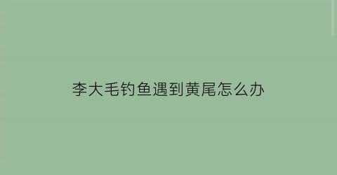 “李大毛钓鱼遇到黄尾怎么办(李大毛野钓黄尾鲴24集)