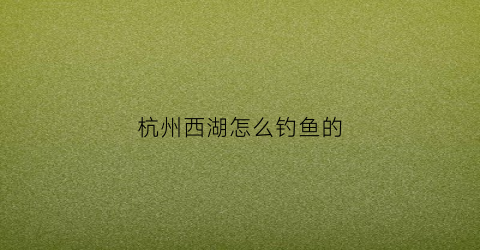 杭州西湖怎么钓鱼的(杭州西湖钓鱼的地方)