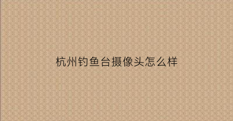 杭州钓鱼台摄像头怎么样(杭州钓鱼台酒店中餐厅)