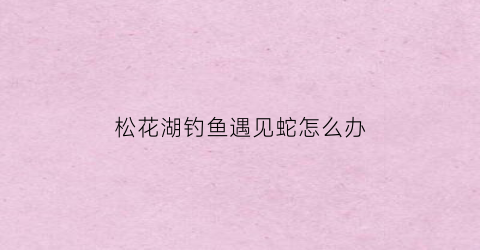 松花湖钓鱼遇见蛇怎么办(松花湖钓鱼用什么饵料)