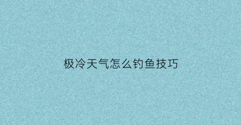 “极冷天气怎么钓鱼技巧(天气冷了如何钓鱼)