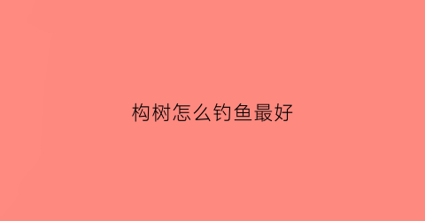 构树怎么钓鱼最好(构树果能钓什么鱼)